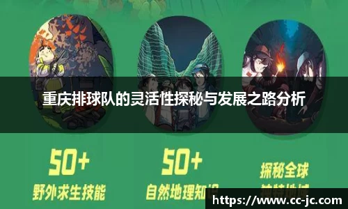 重庆排球队的灵活性探秘与发展之路分析